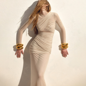 Mesh See through Long Sleeve Pleated Slim Fit Maxi Dress
