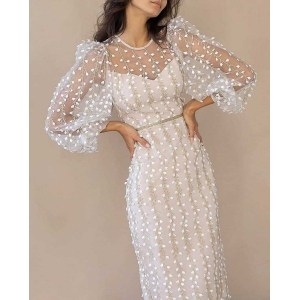 Temperamental Embroidered Mesh Sleeve Dress