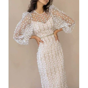 Temperamental Embroidered Mesh Sleeve Dress