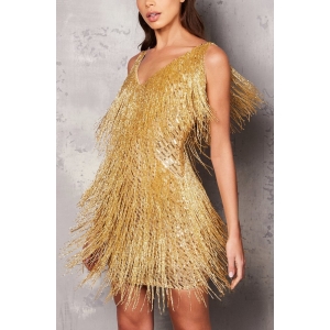 Exclusive Tassel V-Neck Vest Dress