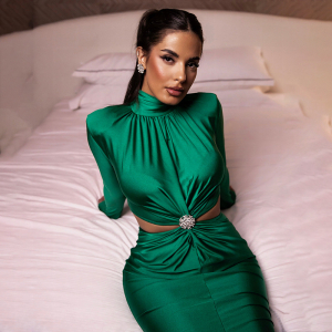 Half High Collar Long Sleeves Stitching Backless Pleated Dress